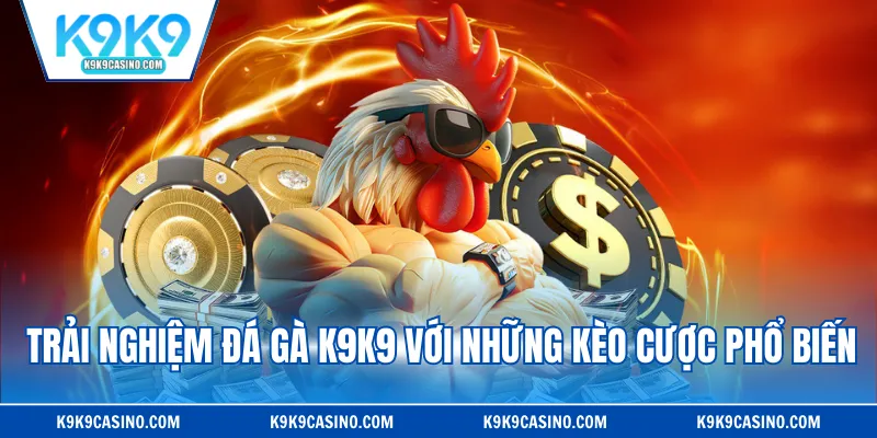 Trải nghiệm đá gà K9K9 với những kèo cược phổ biến
